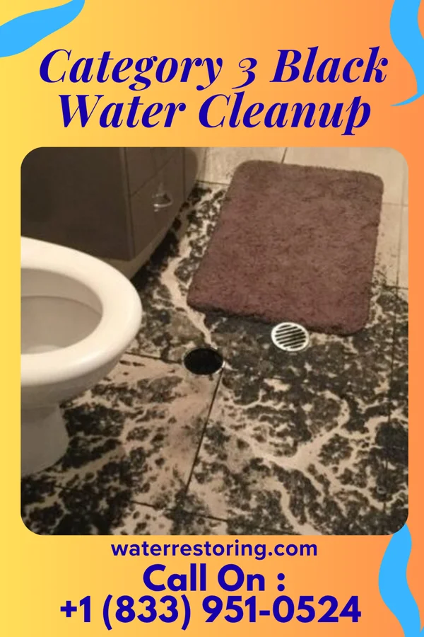 Category 3 Black Water Cleanup in Perryton, TX